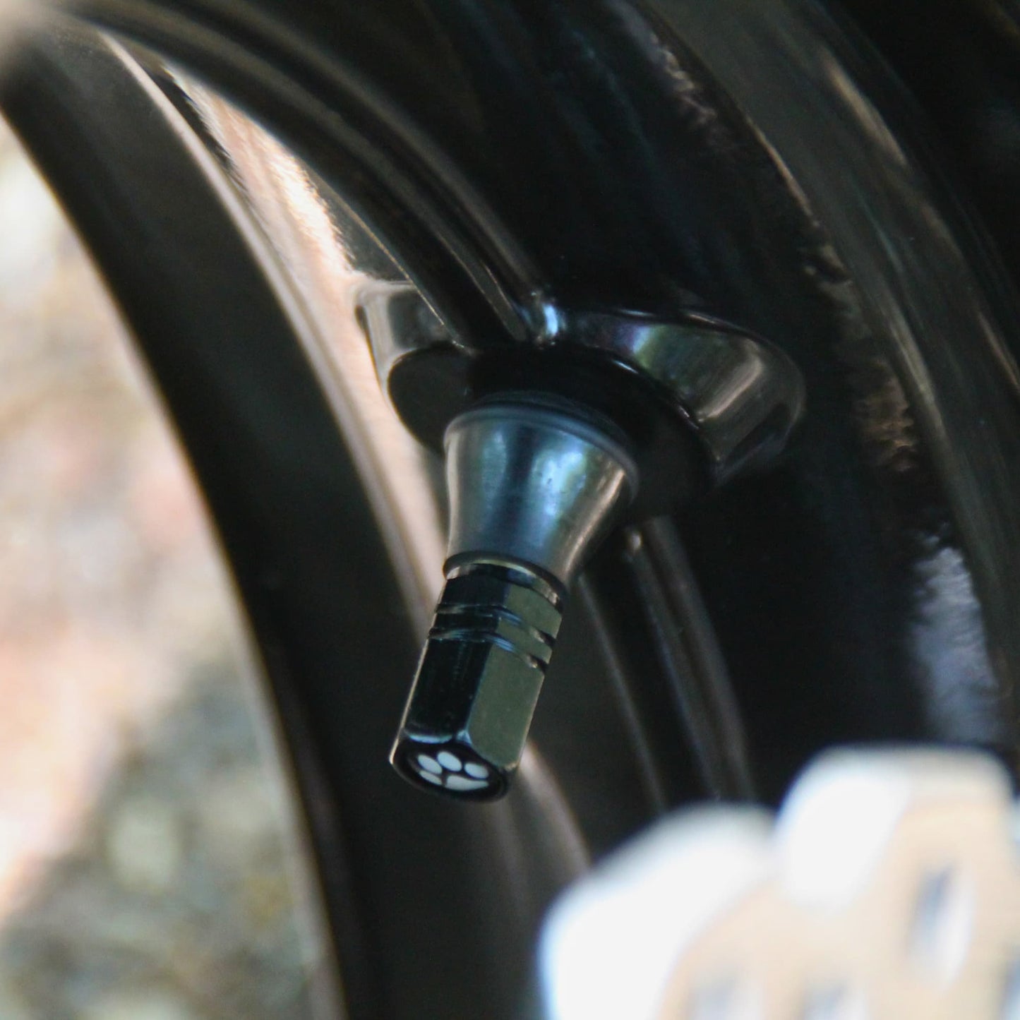 Zoom sur les bouchons de valve moto noirs et patte de chat.