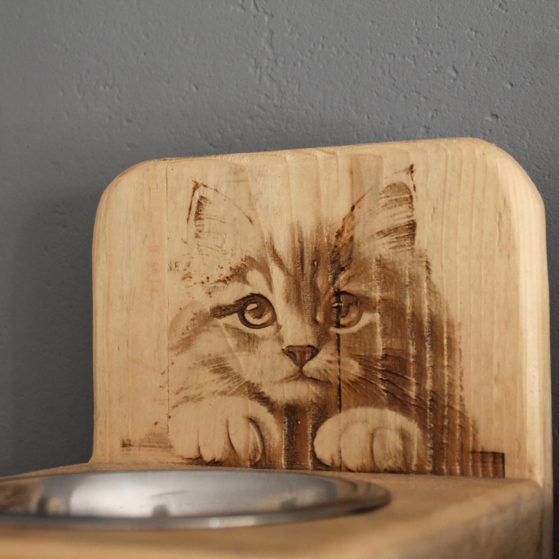 Gravure chat à poils longs sur bar à chat en bois et gamelle inox