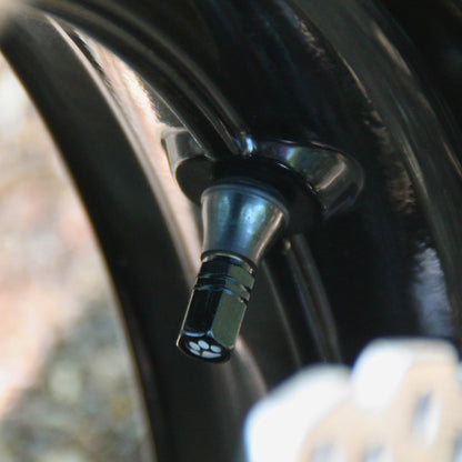 Zoom sur les bouchons de valve moto noirs et patte de chat.