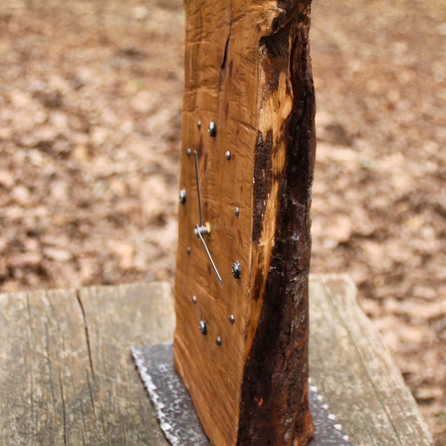Vue de profile sur le bois brut naturel de l'horloge en cerisier. Coupe brute, irrégulière, unique. 
